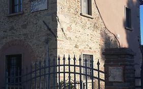 L'Aia degli olivi